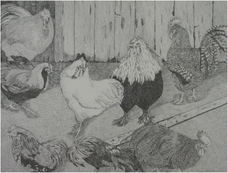 Picture - Chicken (455x346), Png Download