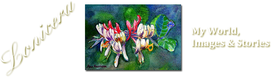 Japanese Honeysuckle (960x294), Png Download