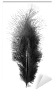 Black Feather On A White Background Wall Mural • Pixers® - White (400x400), Png Download