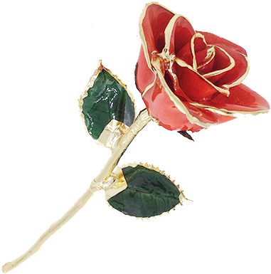 Garden Roses (500x500), Png Download