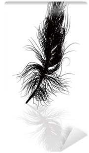 Black Feather And Shadow Illustration Wall Mural • - Attalea Speciosa (400x400), Png Download