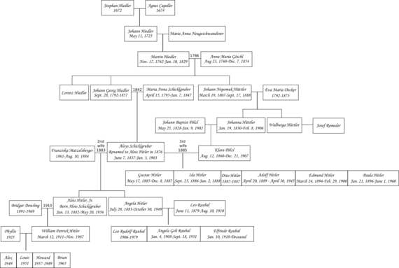 Adolf Hitler's Genealogy - Hitler's Hierarchy (570x383), Png Download