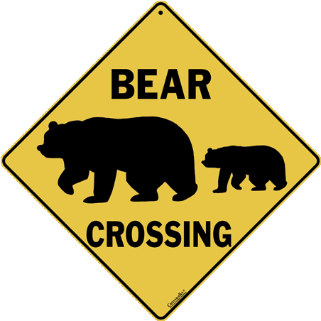 Bear Silhouette - - Lib Dems Winning Here (480x480), Png Download