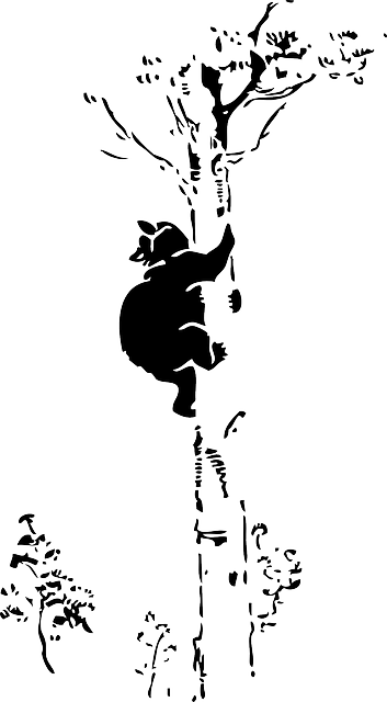 Cat, Black, Outline, Silhouette, Tree, Cartoon, Bear - Bear In A Tree Clip Art (353x640), Png Download