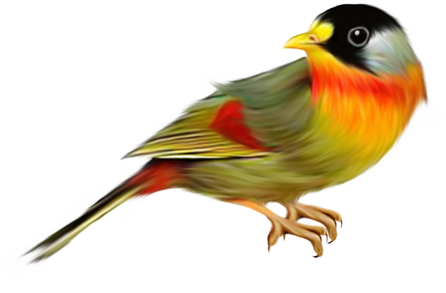 Best Free Birds In Png (1435x945), Png Download