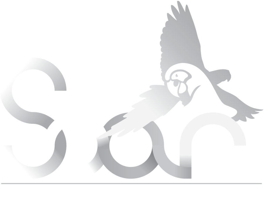 Beak Clipart Beak Bird Of Prey - Cartoon (900x704), Png Download