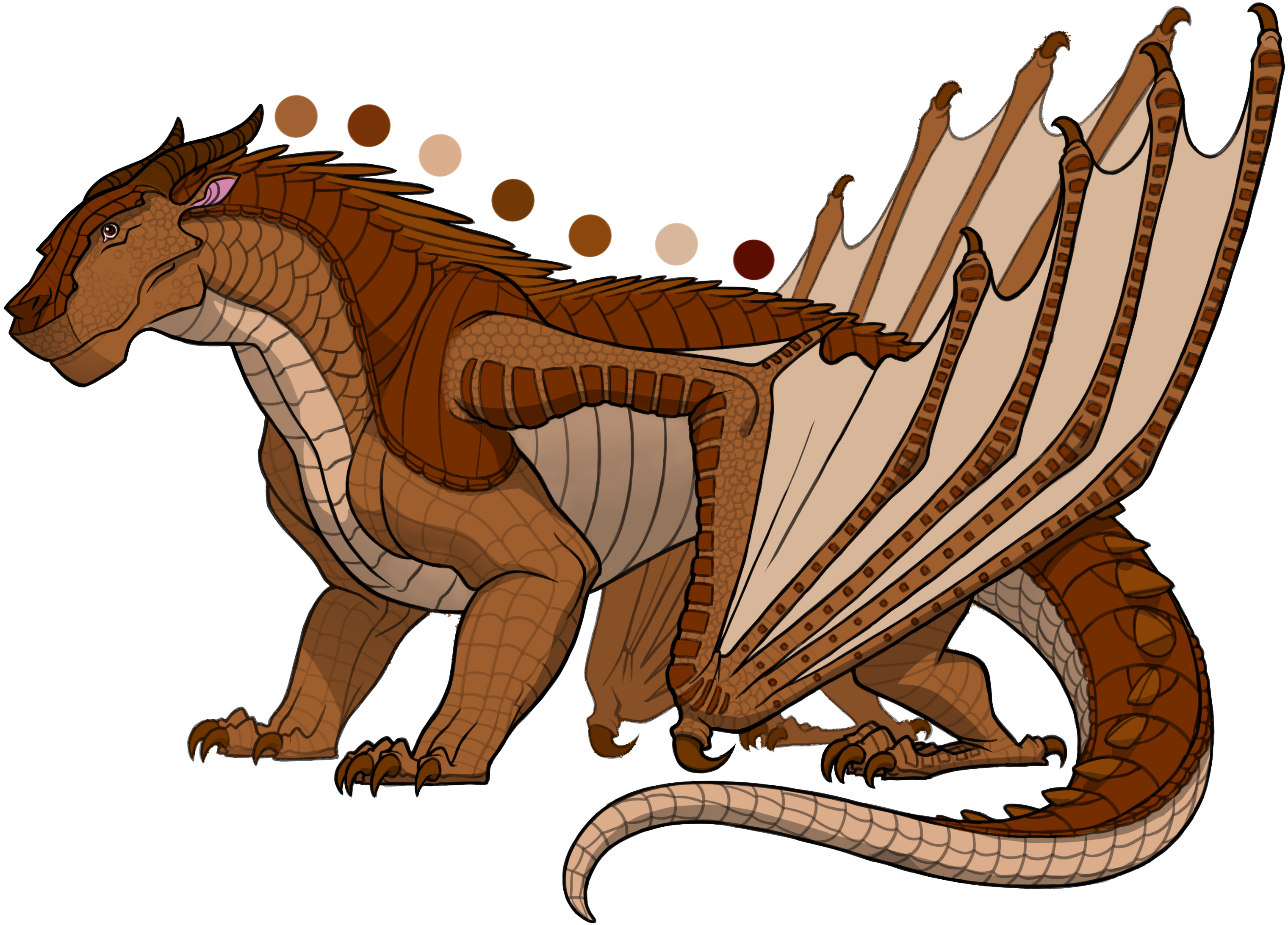 Sora Is A Female Mudwing With An Unknown Description - Wings Of Fire Mudwings (3040x2214), Png Download
