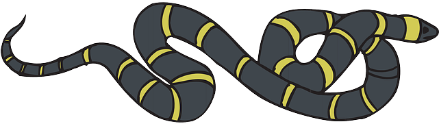 Snake, Black, Yellow, Striped, Reptile, And, Slithering - Sarı Siyah Çizgili Yılan (640x320), Png Download