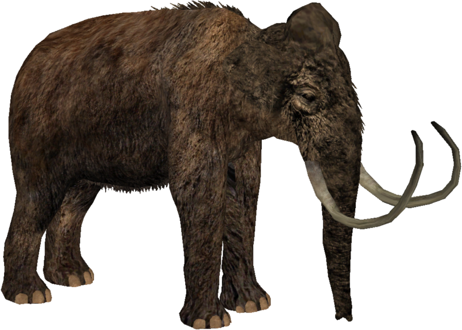 Woolly Mammoth - Woolly Mammoth Zoo Tycoon 2 (1024x1024), Png Download