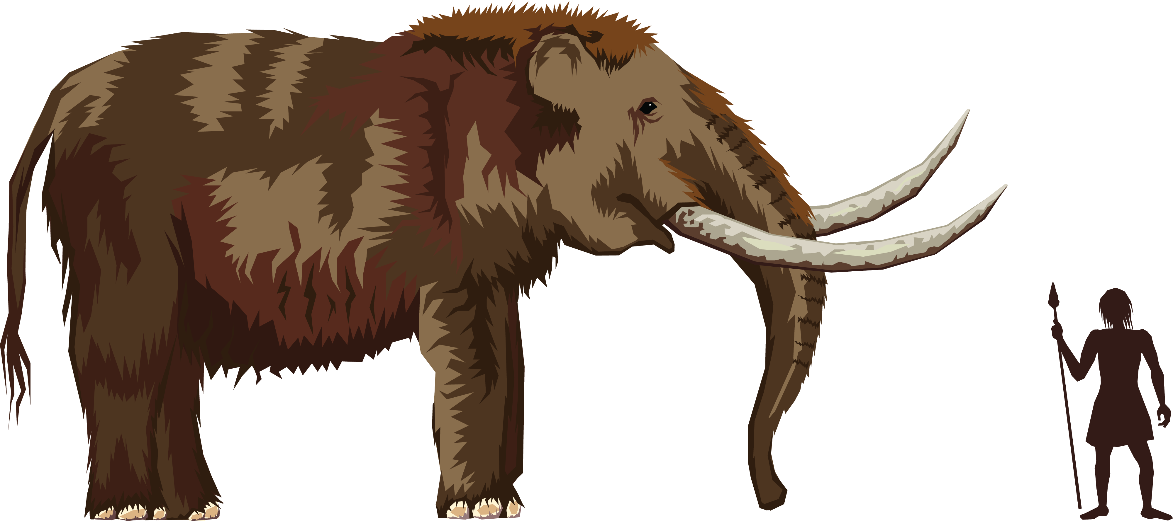 , , - Mastodon Clipart (4000x1778), Png Download