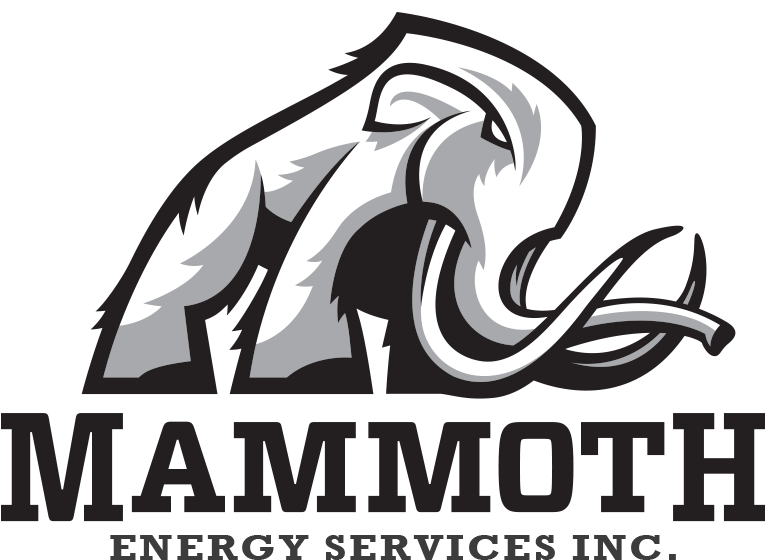 Download Mammoth Energy Services Logo PNG Image with No Background ...