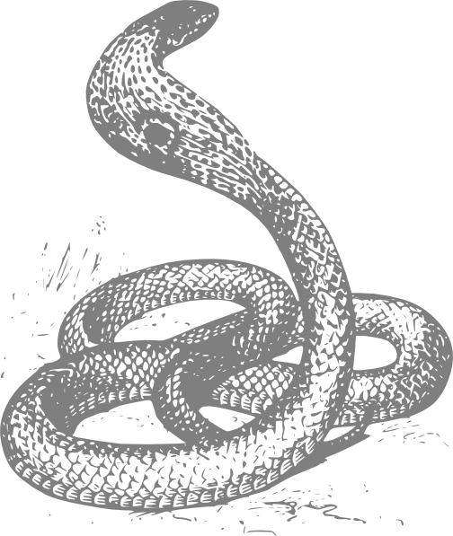 Snake Drawing (504x597), Png Download