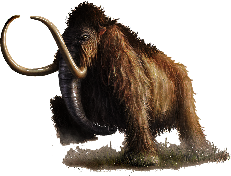 Mammoth - D&d 5e Mammoth (900x600), Png Download