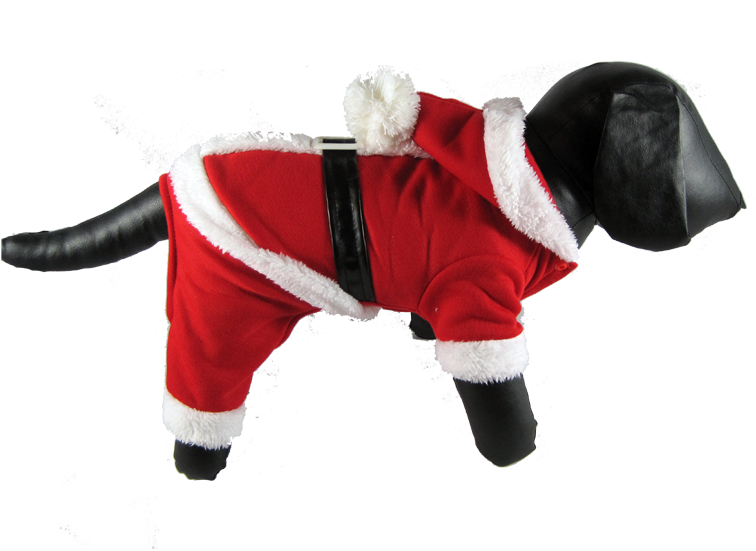 Santa Claus Suit - Santa Claus (800x600), Png Download