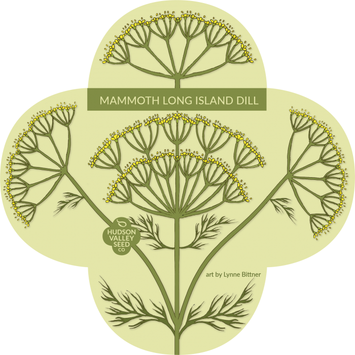 Dill In Art (700x699), Png Download