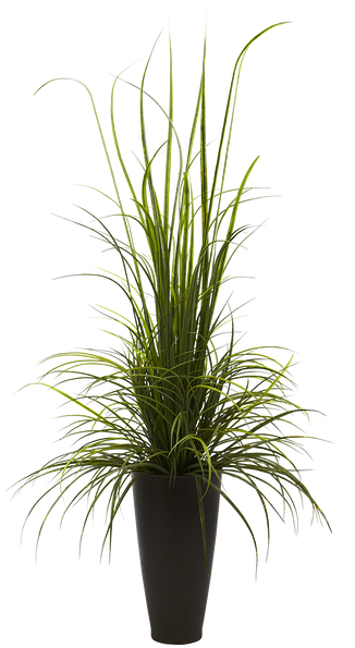 Plant Vase Png - Nearly Natural Indoor Outdoor 64" River Grass (600x600), Png Download