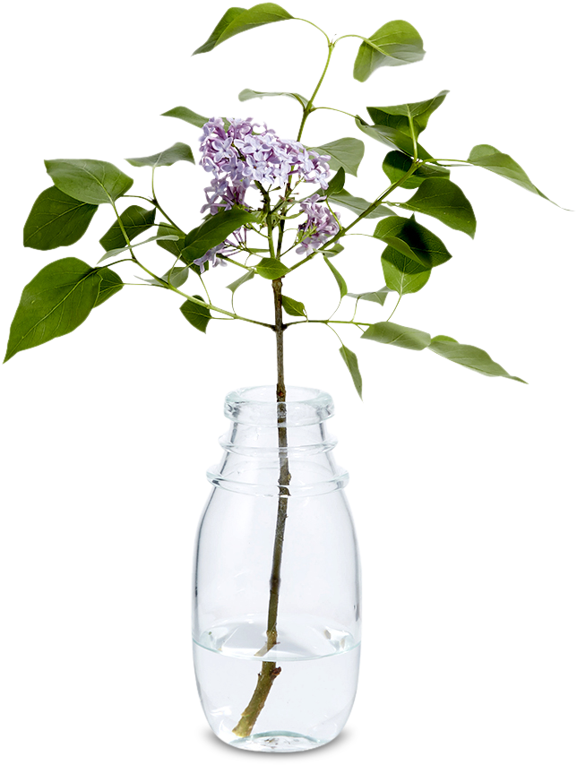 Bottle Vase - Vase (1200x1200), Png Download