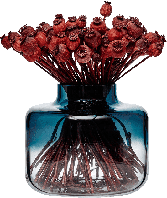 Magnolia - Vase (540x660), Png Download