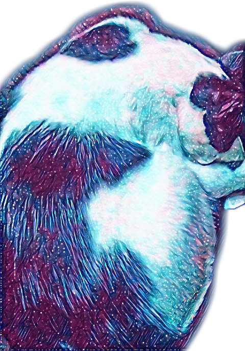 Largest Collection Of Free To Edit Gatos Tocando Instrumentos - Still Life (480x689), Png Download