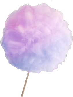 Peony (480x480), Png Download