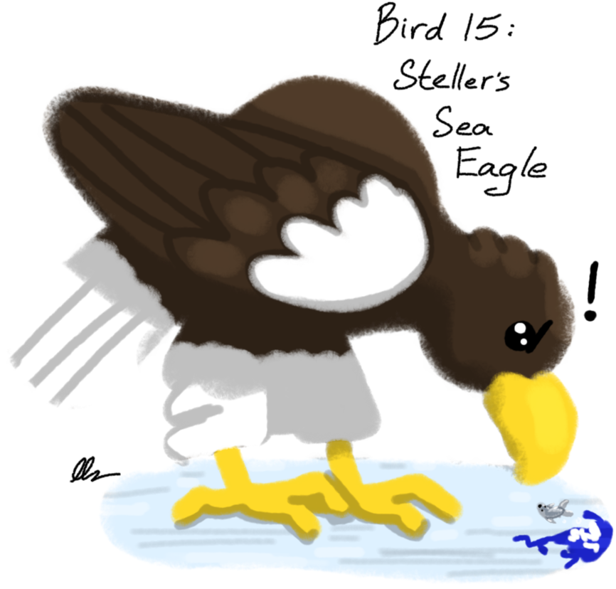 Clip Download Decembirb Steller S Sea Eagle By Silverwingink - Cartoon (894x894), Png Download