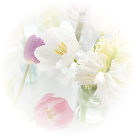 So Soft - - Pastel (436x655), Png Download