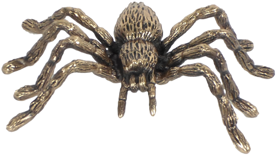 Spider - Drawing (600x500), Png Download