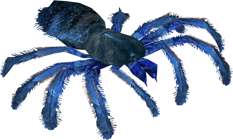 Cobalt Blue Tarantula - Tarantula (785x785), Png Download