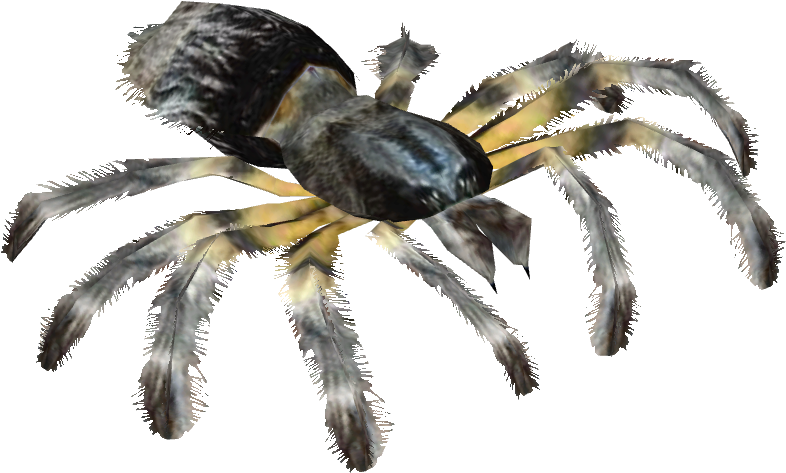 Chaco Golden Knee Tarantula - Insect (785x785), Png Download