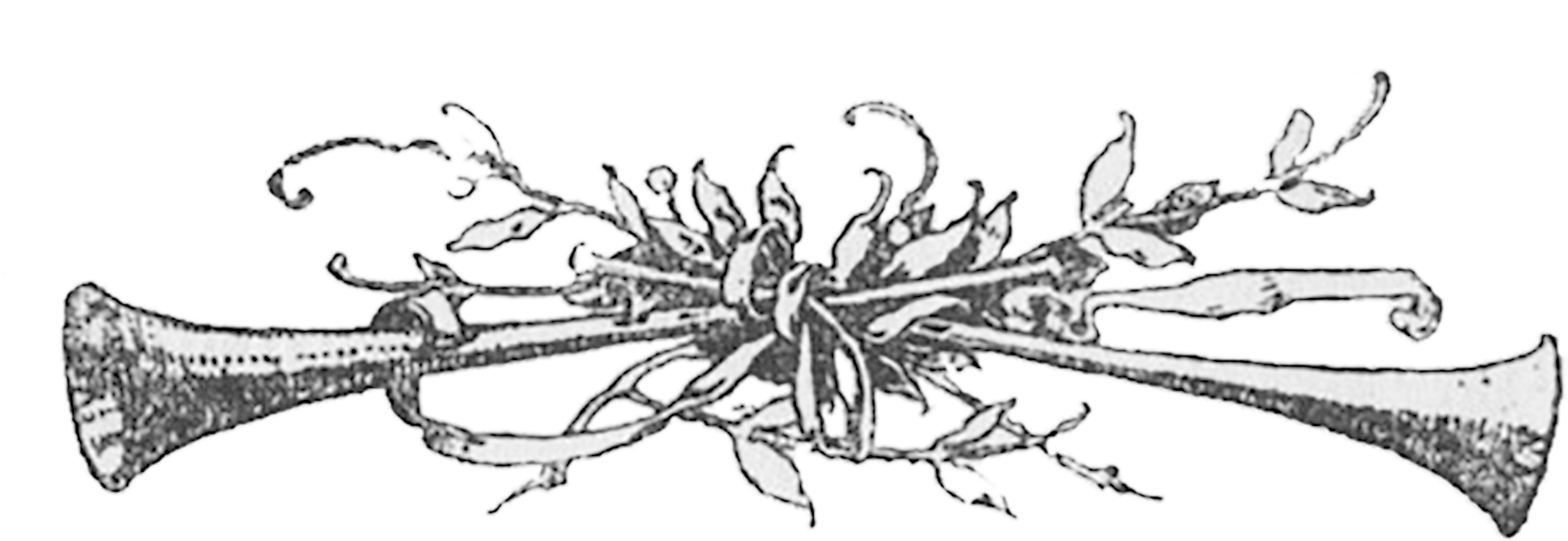 Horns - Clip Art (2400x908), Png Download