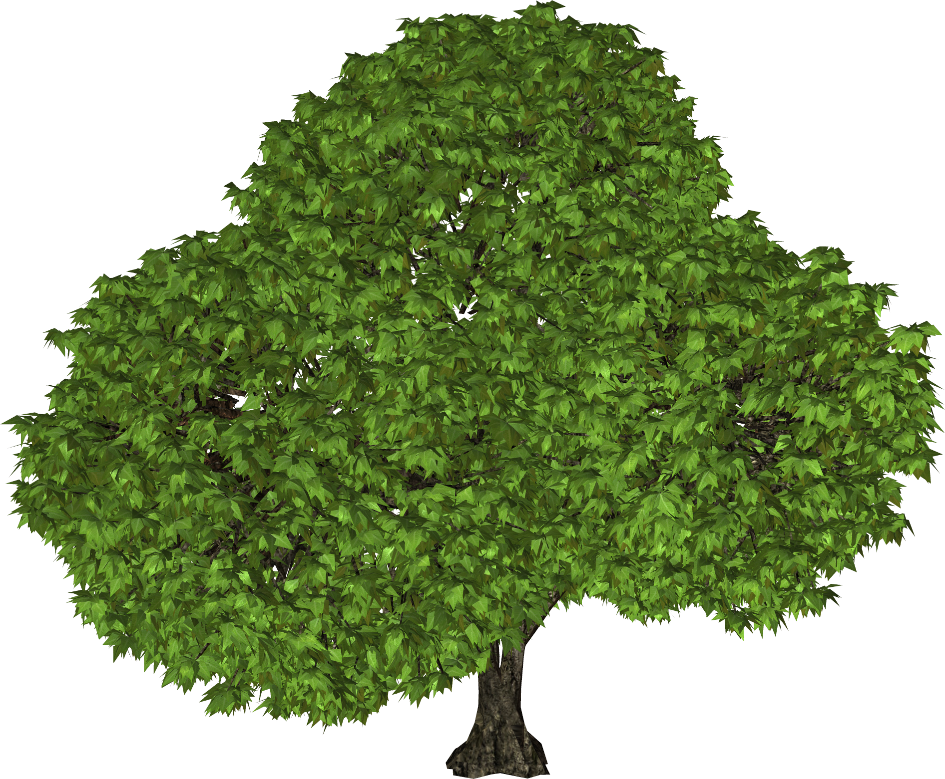 Arbol De Castaña Png (1892x1561), Png Download