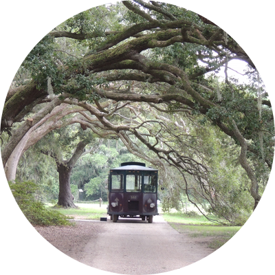 Png Trolley - Portable Network Graphics (400x400), Png Download