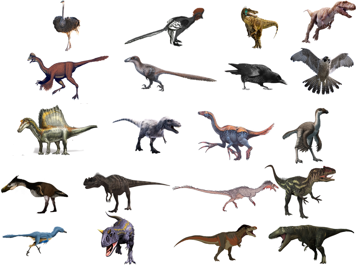 Theropoda - Therizinosaurus Cheloniformis (1260x932), Png Download