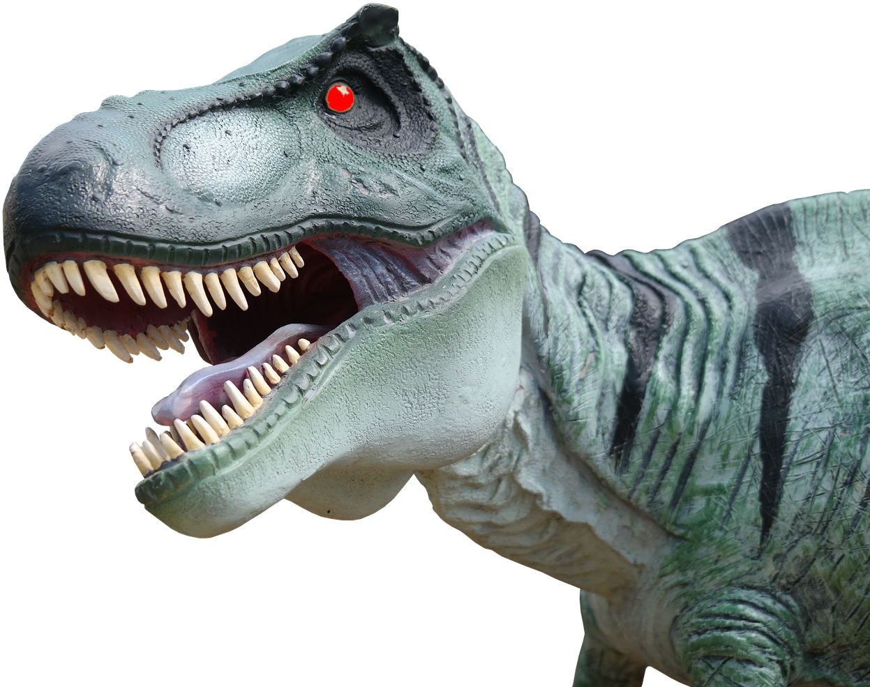 Because She Thought The Dragon Tooth Fairy Would Not - Cabeza De Dinosaurio Png (1280x1024), Png Download