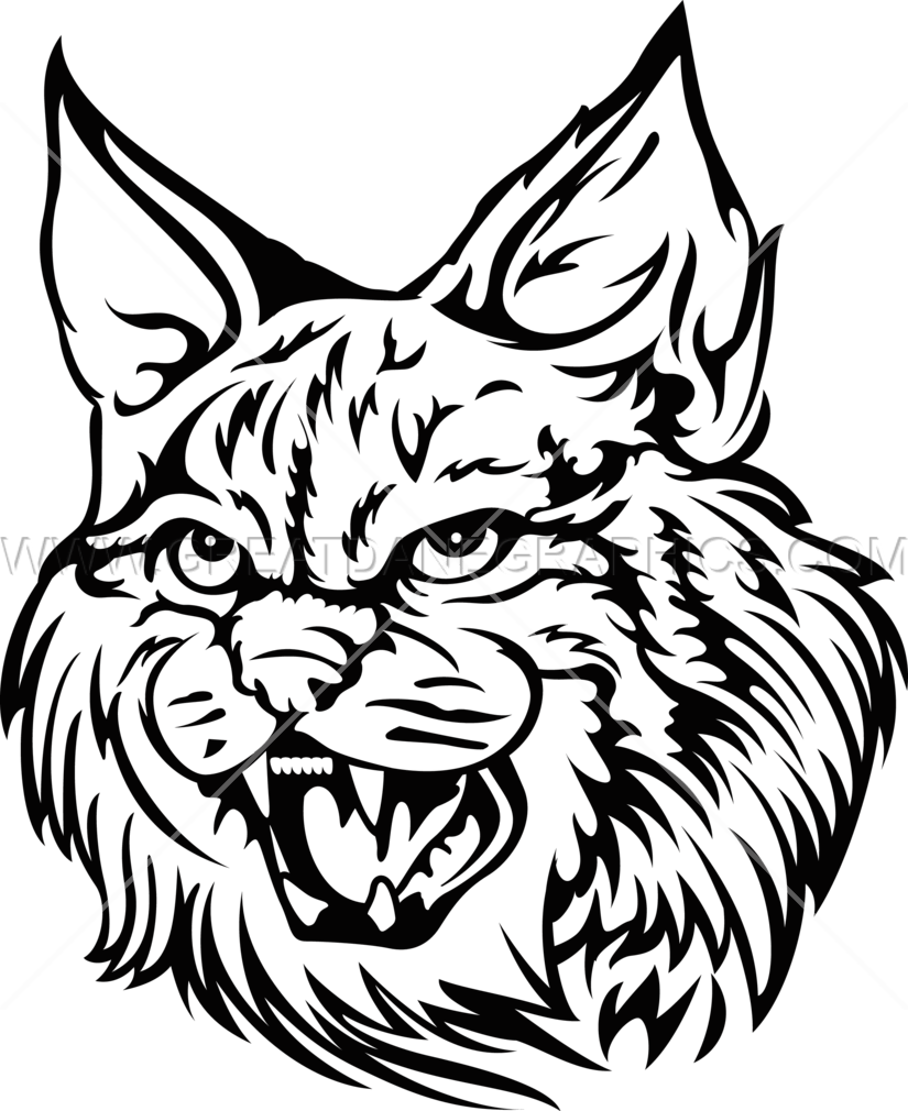Wildcat - Wildcat Png (825x1010), Png Download