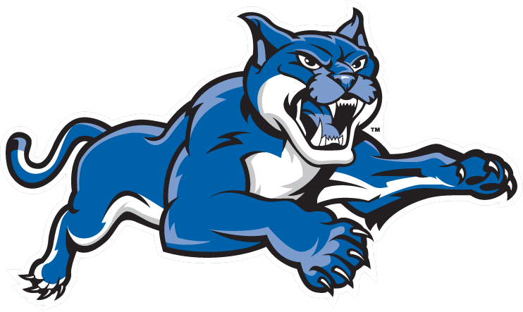 Wildcat - New England Institute Of Technology Mascot (742x443), Png Download