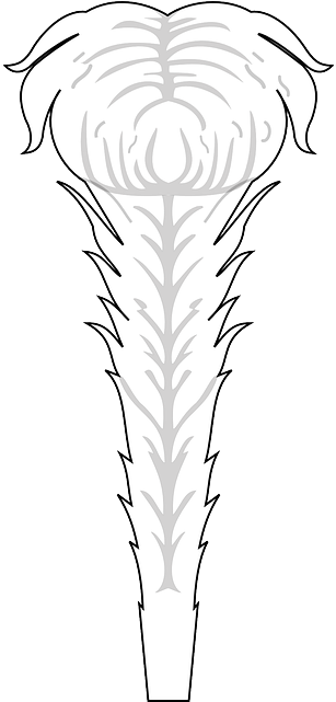 Feather, White, Soft, Feathers - Feather (320x640), Png Download