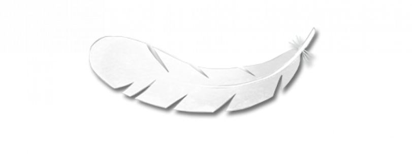 The Magical White Feather Flier Is Back On A New Adventure - Heal The Earth (811x318), Png Download