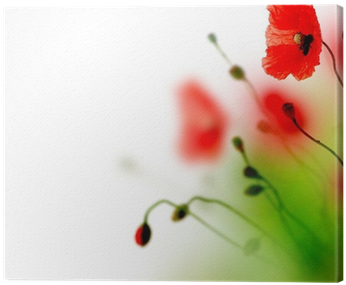 Beautiful Watercolor Poppy Border Canvas Print • Pixers® - Watercolor Painting (400x400), Png Download