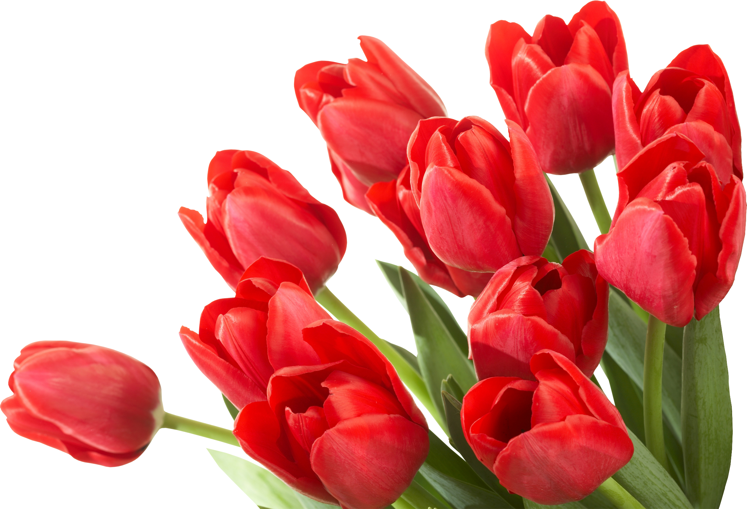 Bouquet Of Flowers Icon Clipart - Trenčín Castle (2407x1640), Png Download