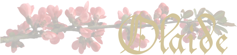 Titlebar Zpsqc7nmnhl - Portable Network Graphics (800x229), Png Download