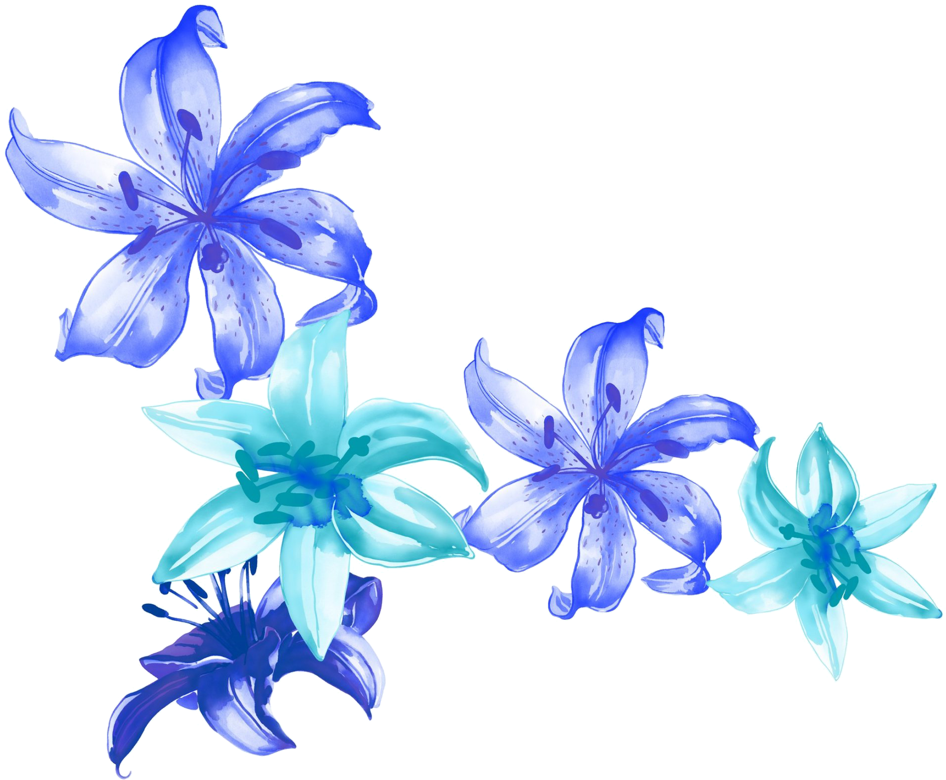 Blue Watercolor Painting Petal Illustration - Purple Watercolor Lily Flower (2000x1668), Png Download
