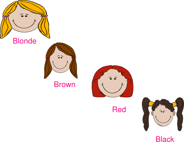 Hair - Color Of Hair Clip Art (600x464), Png Download