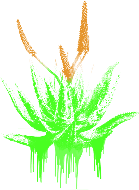 Click And Drag To Re-position The Image, If Desired - Illustration (525x700), Png Download