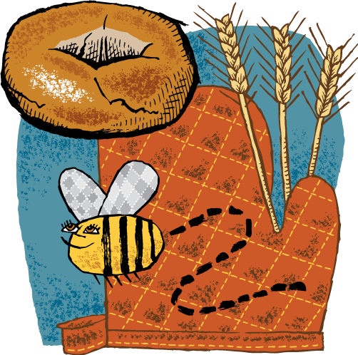 Michigan Wheat Bagel - Zingerman's Bakehouse (502x498), Png Download