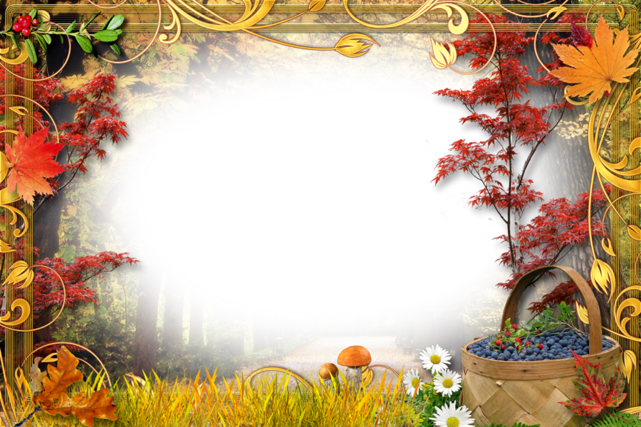 Download Molduras Para Fotos Romanticas De Casal Clipart - Mix Frames (900x600), Png Download