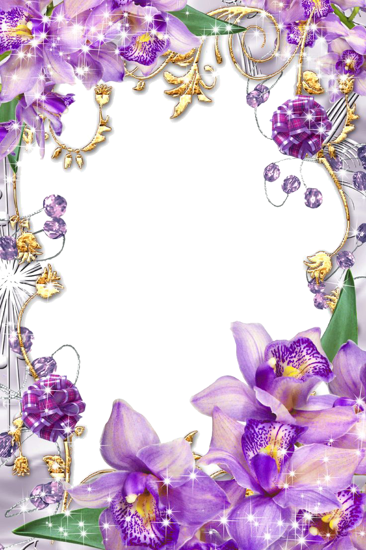 Purple Border Frame Png Transparent Image - Borders And Frames Flowers (736x1104), Png Download