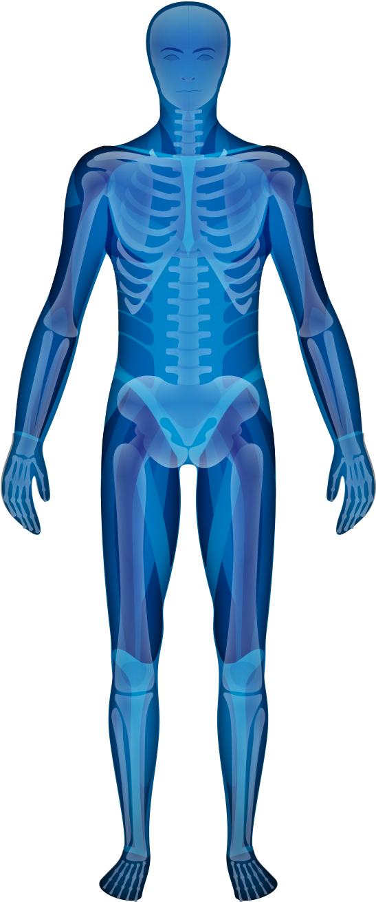 World-class Joint & Spine Care - Male (716x1484), Png Download
