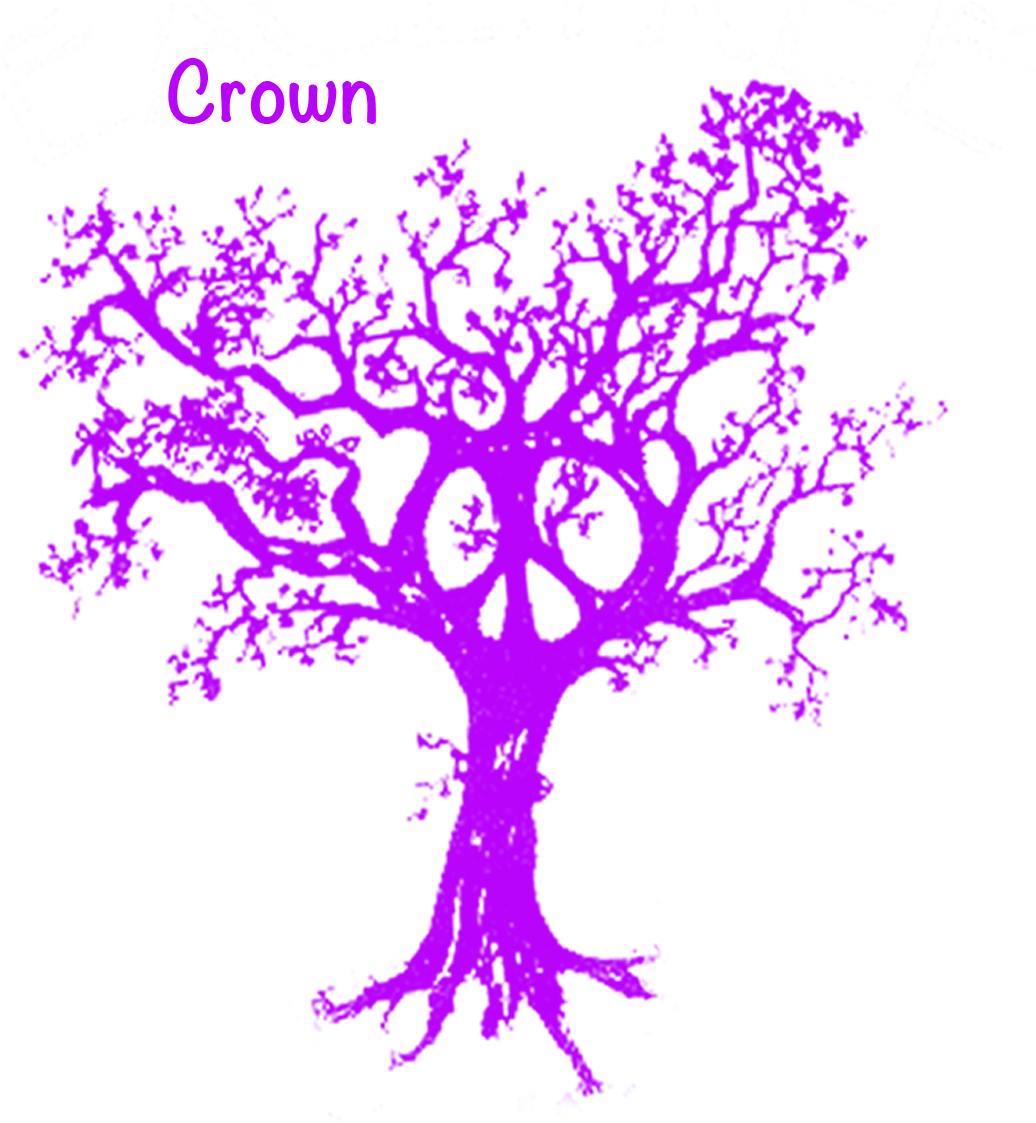 Crown Chakras - Graphic Design (1395x1161), Png Download