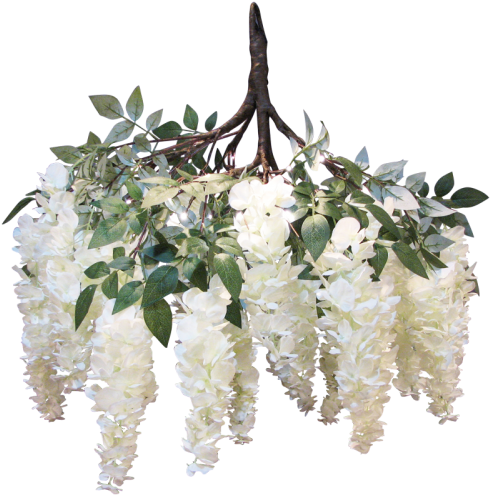 Wisteria White Hanging Branch 90cm - Wisteria (500x500), Png Download